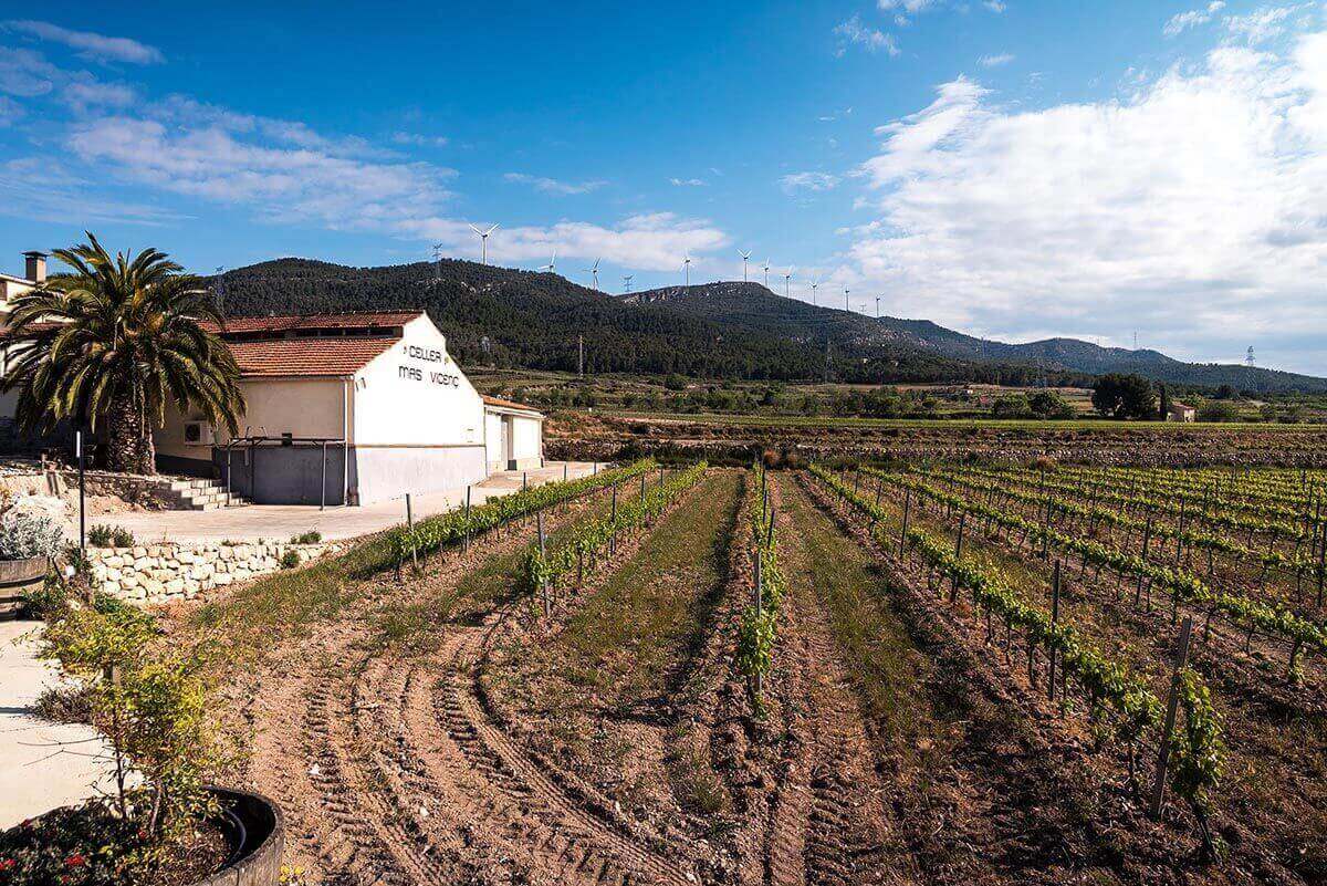 Mas Vicenç - Bodega en Tarragona Mas Vicenç - Bodega en Tarragona