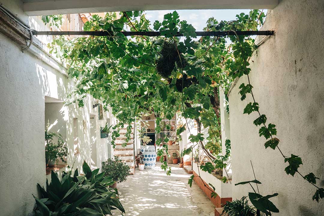 Mas Vicenç - Bodega en Tarragona