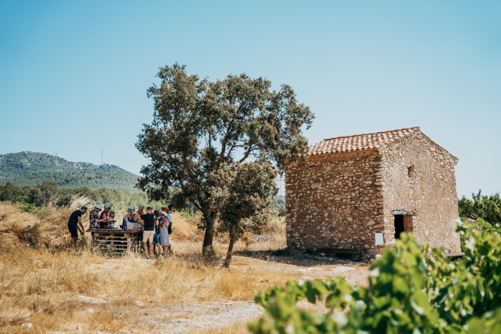 Walk & Wine: Ruta Històrica