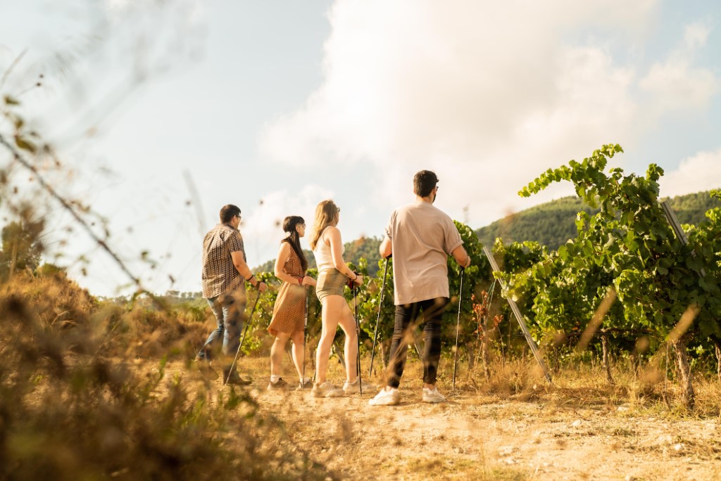 Walk & Wine Mas Vicenç